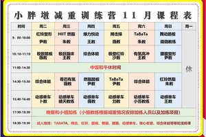 哪里可以找到专业的篮板训练课程?全面解析与最佳选择